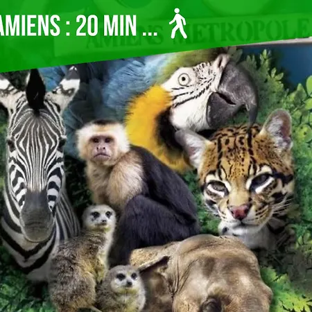 L'evasion Scandinave, Xxl, écran Cinéma, Lit King Size, Day Use, 10 Min Centre